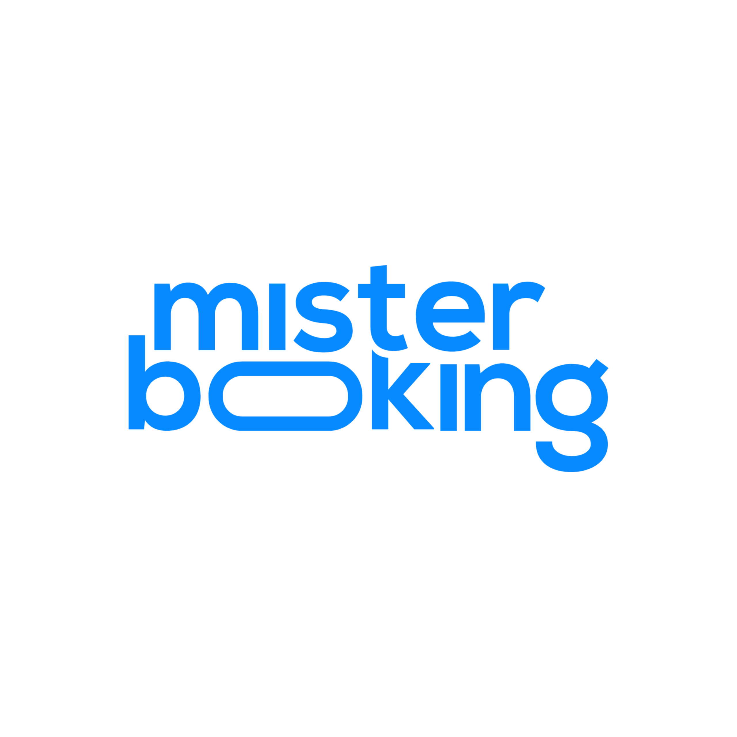 Logo Misterbooking