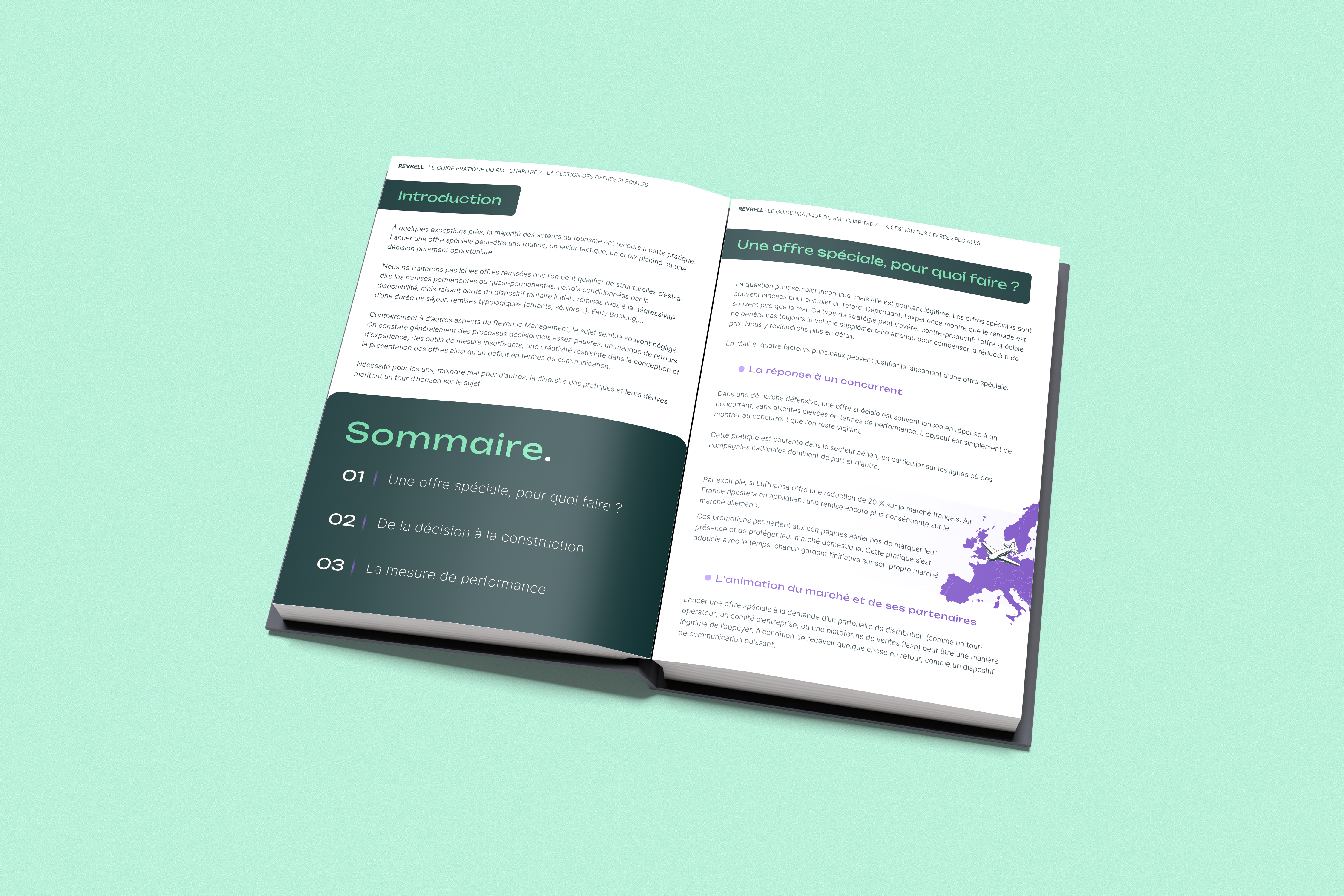 offres spéciales revenue management