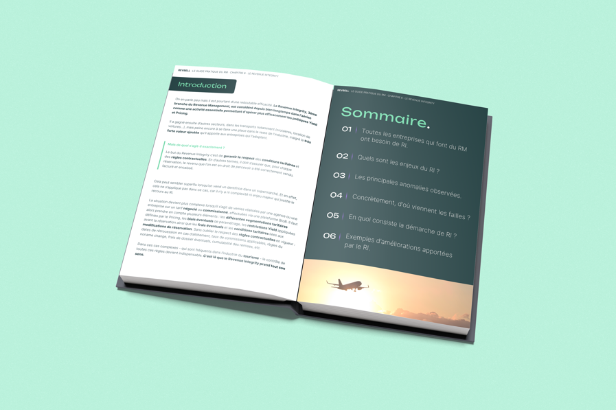 Revenue Integrity